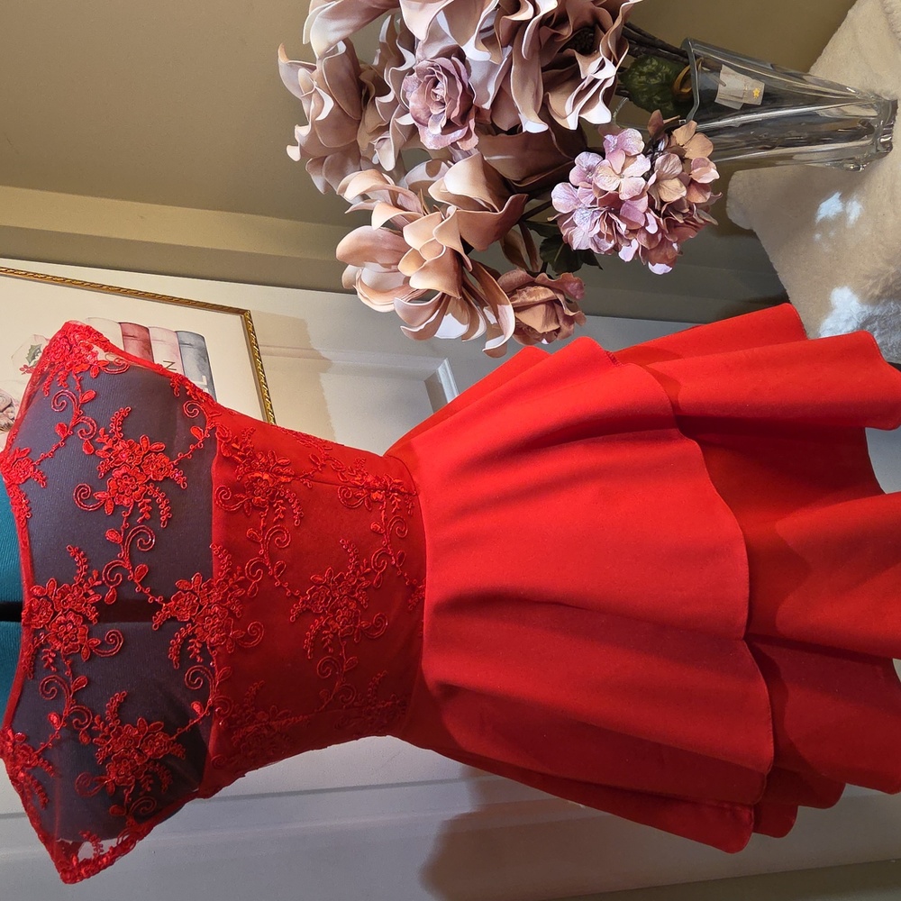 Nwot Doly 36 Size Elegant Red Lace Mini Dress - Picture 3 of 17